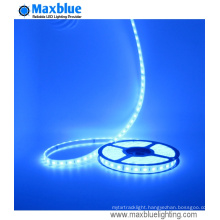 High Brightness DC24V 5050SMD 96LEDs/M RGB LED Strip